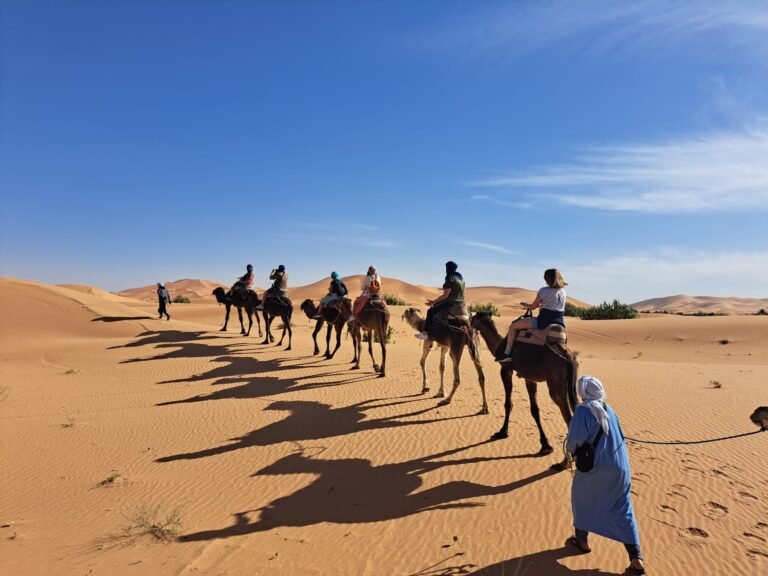 WhatsApp Image 2025-04-29 at 16.47.36 (2)