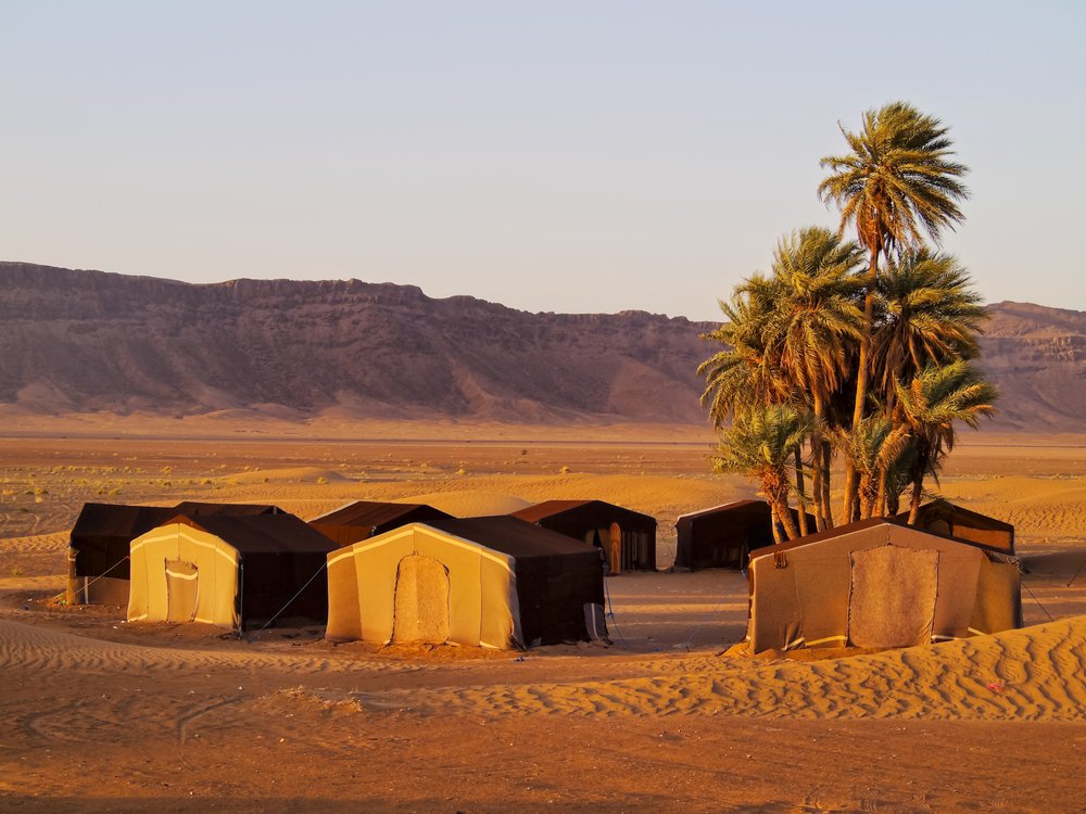 the zagora desert
